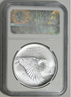 2017-d Silver American Liberty Silver Medal 225th Anniversary Ngc Ms-69