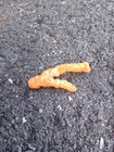 Ultra Rare Double-pronged Cheeto  the Wishbone  Museum Quality One Of One