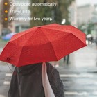 Windproof Travel Compact Umbrella-automatic Umbrellas For Rain-compact Folding