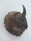 Rare Lega Kongo Fetishist s Hat - Late 19th Century