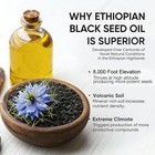 3 Pack Ethiopian Black Seed Oil Softgels 4 64  Thymoquinone Gluten-free