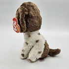 Ty Beanie Boos Muddles Dog Plush Stuffed Animal Brown White Blue Eyes With Tag