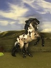 Ooak Breyer Cm Custom Stablemate Horse Brio X D  Williams  Buckskin Appaloosa 