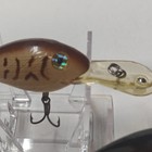 Lot Of 3 Vintage Rebel Deep Wee R Crankbait Fishing Lures 1 Box