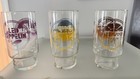 Rock N Roll Glasses Fleetwood Mac Led Zeppelin Cheap Trick 32oz