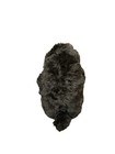 Fantastic Beasts And Where To Find Them Niffler Small Plush Harry Potter