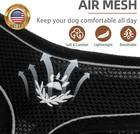 Soft Mesh Dog Harness And Leash Set Pet Puppy Cat Comfort Padded Vest No Pull Ha