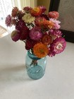 Beautiful Strawflowers Assorted Bunch Bouquet Bundle Dried Flowers Usa Auc 2