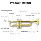 Bb Trumpet Standard With Case 7c Mouthpiece And Cleaning Kit Golden