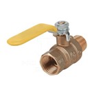 Midline Valve Brass Full Port Ball Valve  With Fip X Mip Joints
