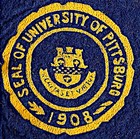 Vintage 1940   s University Of Pittsburgh Panthers Football Pennant   Wow  
