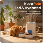 Automatic Cat Feeder Water Dispenser Gravity Stainless Steel Bowl 2 2l Food 1l
