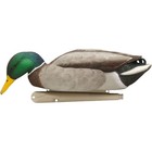 Avian X  Topflight Mallards Backwater Pack Of 6 Floating Decoys