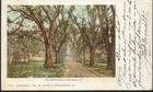 British Post Office Constantinople Pmk 1903 On American Postcard To Antwerp
