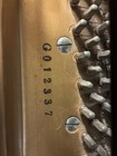 Sojin Baby Grand Piano  Excellent Condition