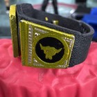 Wwe World Heavyweight Championship Title