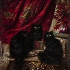  three Black Cats  Carl Kahler  1856-1906    Canvas Wall Art Picture Print