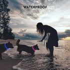 Rechargeable Led Pet Glow Collar Night Safety Adjustable Flash Light-up For Dog