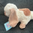 Ganz Webkinz Holland Lop Bunny Plush W  Code Hm632 Retired