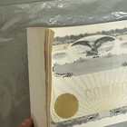 Lot Of 11 Original Vintage Blank Stock Certificate  Eagle Vignette   71 