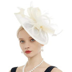 Women Fascinator Hat Feather Mesh Tea Party Wedding Cocktail Derby Style Headpie