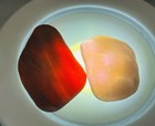 Rare Color Sea Glass  From Japan Surf-tumbled Beach Glass