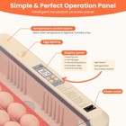 36 Egg Digital Incubator With Automatic Turner - For Hatching Chicken   Quail