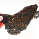 140g Beautiful Sericho Pallasite Meteorite Slice - From Kenya A100