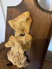 Vintage Retro Resin 3d Mushroom Wall Hanging 10 In 