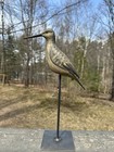 Gorgeous Russ Allen     dr  Duck    Parksley Va  A Long Billed Yellowlegs Shorebird 