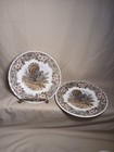 2 Vintage Queens Myott Thanksgiving Turkey Churchill Salad Plates