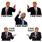 I Did That Trump Stickers  100 Pcs Trump I Did That Stickers  Funny I Did That S