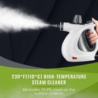 Handheld Pressurized Steam Cleaner 1050w High Temp Portable Steam Clean Machine
