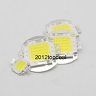 Dc12v 10w 20w 30w 50w White warm White High Power Led Chip White Bulb Flood