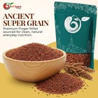 Finger Millet Ragi Whole Grain Nachani Bhakri Dosa Porridge Seed 1lb-5lb