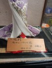 Japanese Geisha Doll- Kimono Dress Figure Statue Display With Case