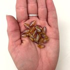 Vintage Translucent Brown Green Twisted Oval Czech Glass Beads  8x13mm   brcg70 