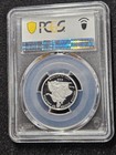      2004-w  25 American Eagle 1 4 Oz  9995 Platinum Proof Coin Pcgs Pr69 Dcam