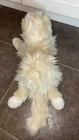 Ty Classic Sophisticat Plush Long Haired Cat Kitten White Cream Shaggy