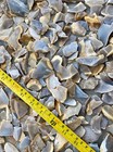 8  Lbs Of Pretty Tx Chert flint Small Flakes pieces   Tumble-lapidary-decorative