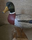 1972 Vintage Wood Carving Mallard Duck Decoy Shelf Bird Harry H  V  Shourds Rare
