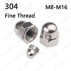 Fine Thread 304 Stainless Steel Hex Cap Nuts Hex Acorn Nuts M8 M10 M12 M14 M16