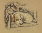 Sealyham Terrier  deena  - Custom Matted - Lucy Dawson Dog Art Print 