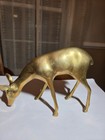 Vintage Solid Brass Deer Set Buck Doe Mcm Decor  Pair Of 2