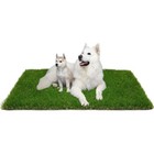 Puppy Dog Pet Potty Training Pee Pad Mat Tray Grass House Toilet Indoor Grass