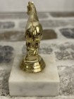 Equestrian Trophy Quarter Horse Gold Plastic Solid Marble Base 2   x2   x3 25    Italy