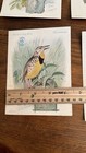 1927 Set Of  16 American Song Bird Trading Cards Singer Sewing Machines 4x6    Euc