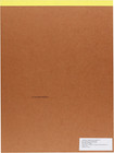 300 Series Bristol Paper Pad  Vellum  Tape Bound  9x12 Inches  20 Sheets  100lb 