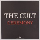The Cult 1991 Original Us Tour Display Promo Poster Ian Astbury Sire Records 
