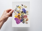 Pressed Flower Art Herbarium  Dried Lilac Orchids Picture  Floral Art Nature